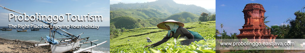 pic4