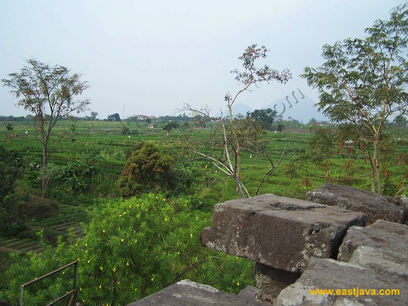 cungkup_temple_16.jpg