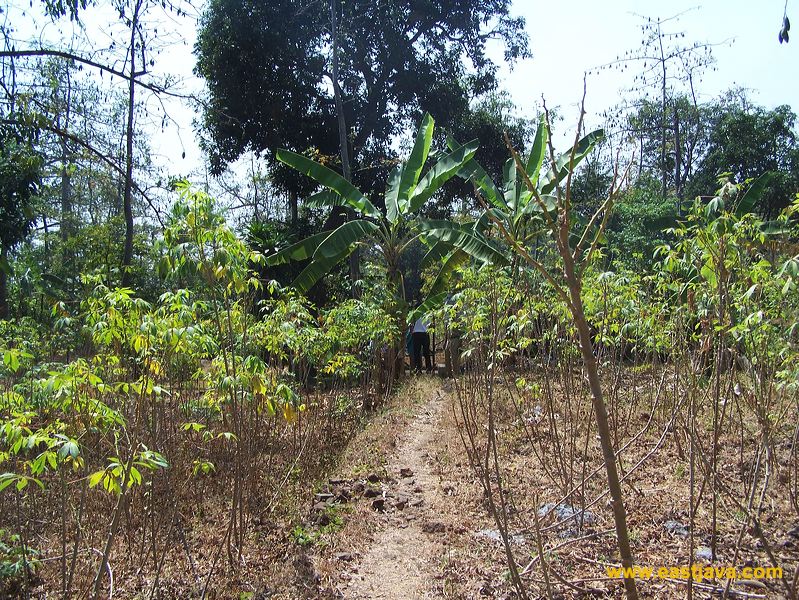 pasetran__temple_01.jpg