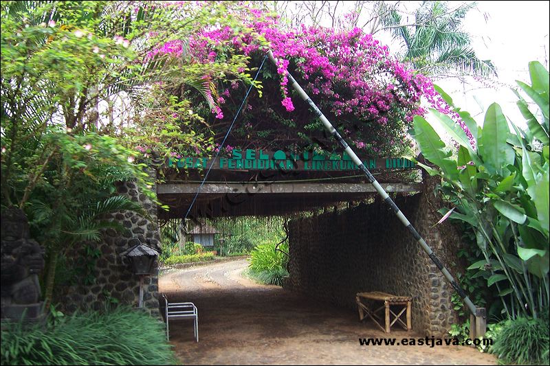 Jolotundo Temple - Inheritance Of King Airlangga - Majapahit Site