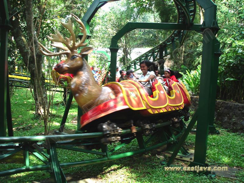 taman_safari_ii_12.jpg