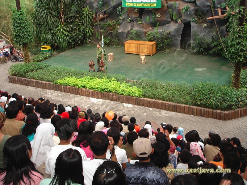 taman_safari_ii_32.jpg