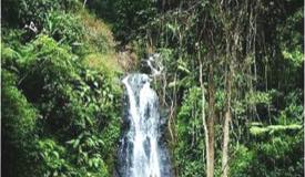 images/gallery/watu_lumbung/Air_Terjun_Watu_Lumbung_1.jpg