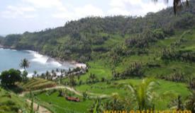 images/gallery/kali-uluh/kali-uluh-beach-pacitan-east-java-3.jpg