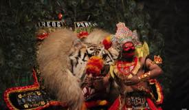 gallery/reog_ponorogo/reog-ponorogo13.jpg