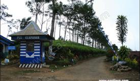 images/gallery/andung-biru/andung_biru_17.jpg