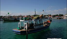 images/gallery/gili-ketapang/gili_ketapang_island_18.jpg