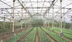 images/link/condido-agro-gallery.jpg